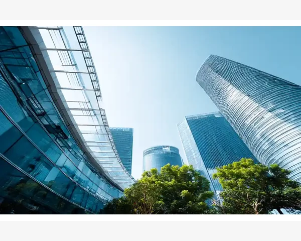 湿气调养：拥抱健康生活，远离湿气困扰